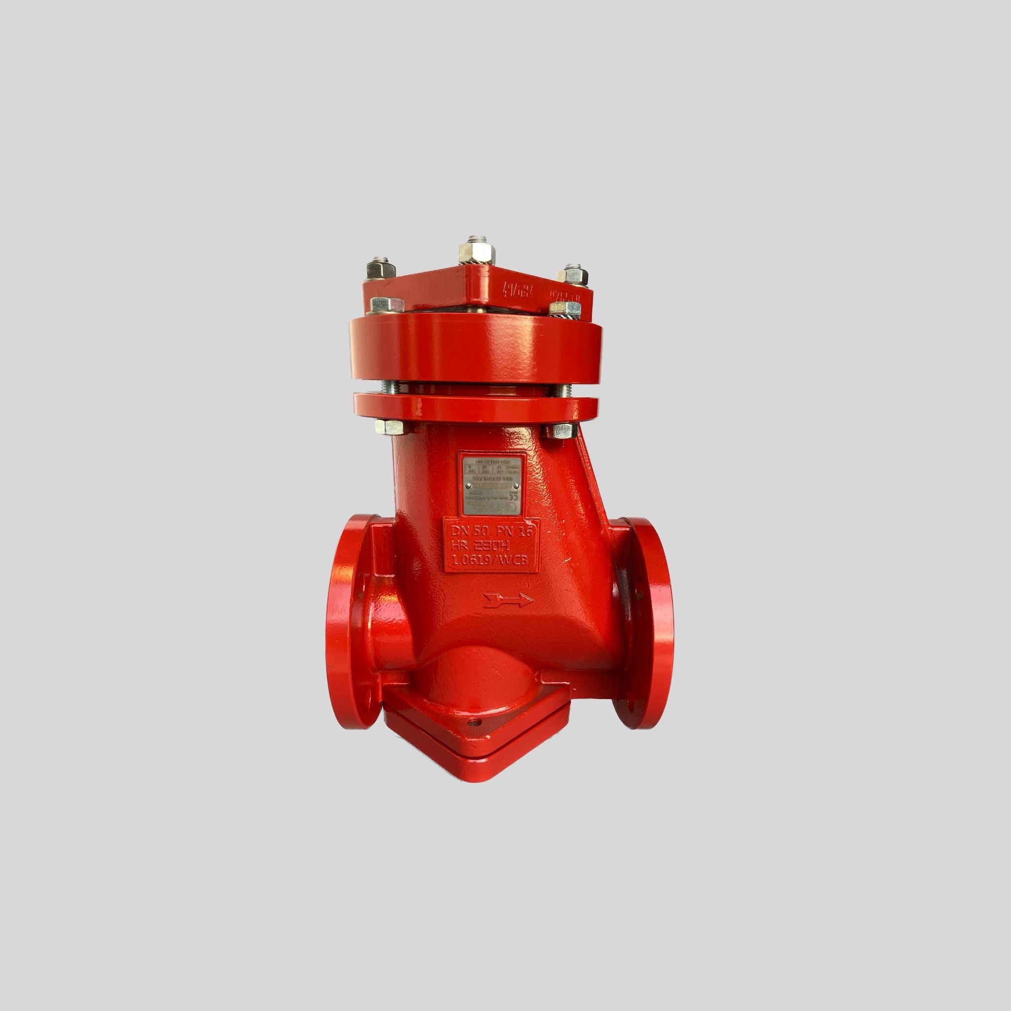 PFA Lined Strainer  NPS 6 (on request) NPS 6 (on request) - Main view - High quality industrial valve by GFT9