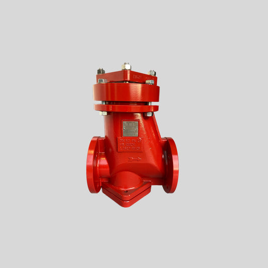 PFA Lined Strainer  NPS 6 (on request) NPS 6 (on request) - Main view - High quality industrial valve by GFT9